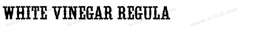 White Vinegar Regula字体转换